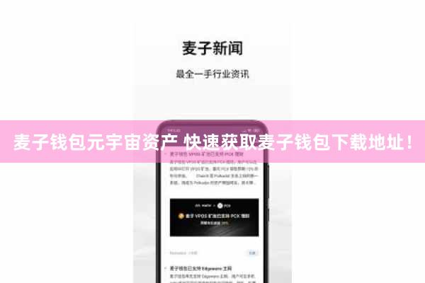 麦子钱包元宇宙资产 快速获取麦子钱包下载地址！
