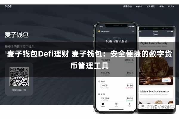麦子钱包Defi理财 麦子钱包：安全便捷的数字货币管理工具