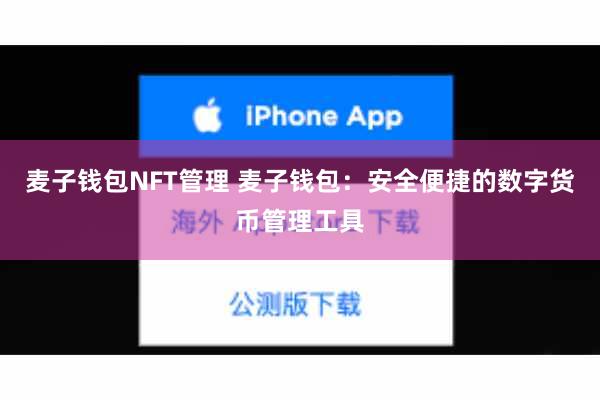 麦子钱包NFT管理 麦子钱包：安全便捷的数字货币管理工具