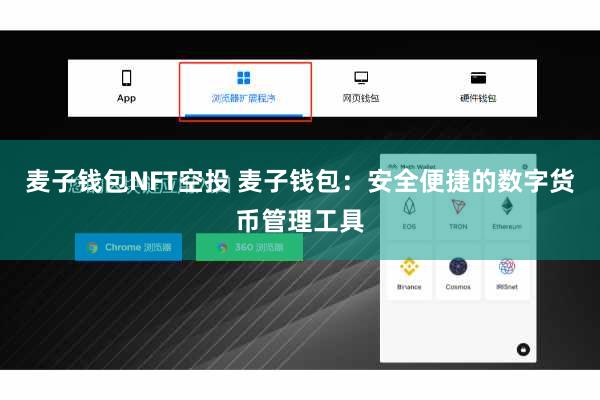 麦子钱包NFT空投 麦子钱包：安全便捷的数字货币管理工具