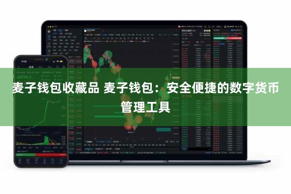 麦子钱包收藏品 麦子钱包：安全便捷的数字货币管理工具