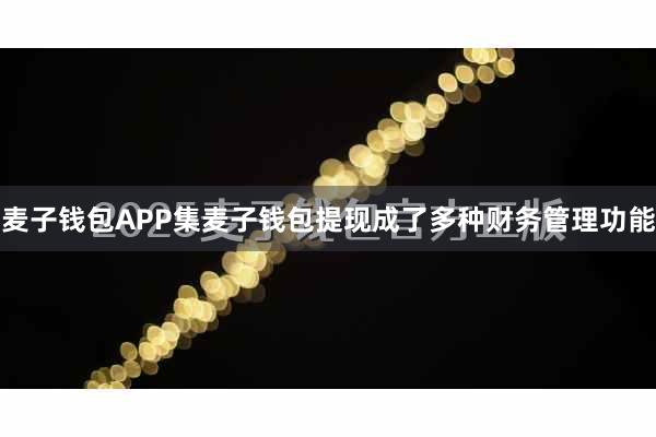 麦子钱包APP集麦子钱包提现成了多种财务管理功能