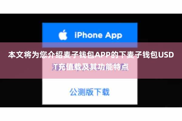 本文将为您介绍麦子钱包APP的下麦子钱包USDT充值载及其功能特点