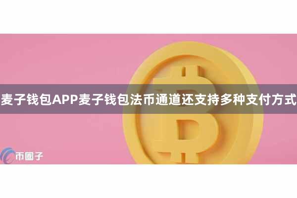 麦子钱包APP麦子钱包法币通道还支持多种支付方式