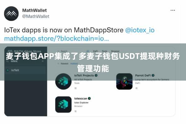 麦子钱包APP集成了多麦子钱包USDT提现种财务管理功能