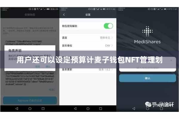 用户还可以设定预算计麦子钱包NFT管理划