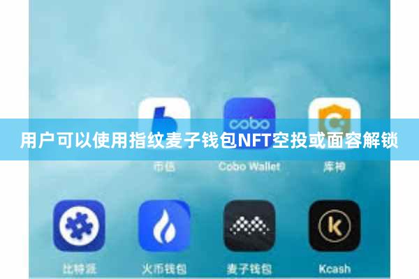 用户可以使用指纹麦子钱包NFT空投或面容解锁