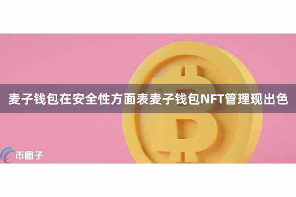 麦子钱包在安全性方面表麦子钱包NFT管理现出色