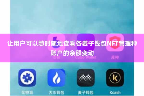 让用户可以随时随地查看各麦子钱包NFT管理种账户的余额变动