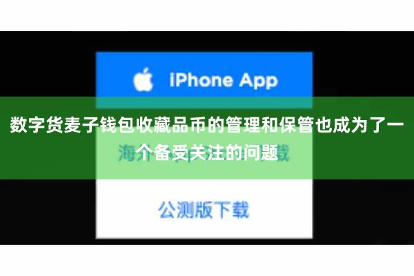 数字货麦子钱包收藏品币的管理和保管也成为了一个备受关注的问题