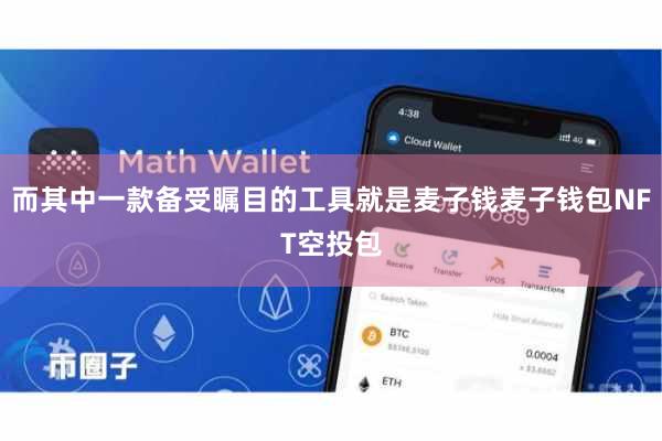 而其中一款备受瞩目的工具就是麦子钱麦子钱包NFT空投包