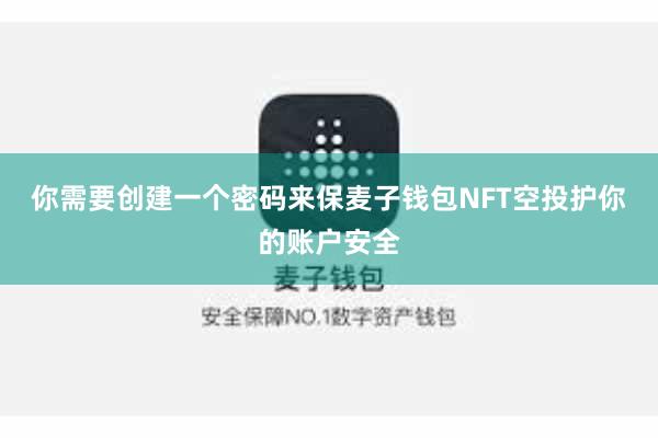 你需要创建一个密码来保麦子钱包NFT空投护你的账户安全
