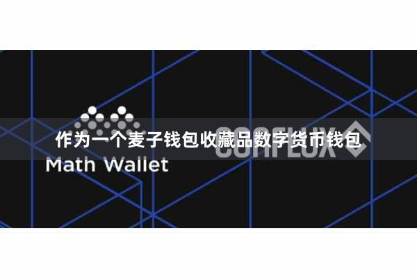 作为一个麦子钱包收藏品数字货币钱包