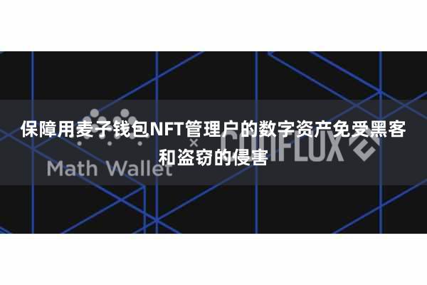 保障用麦子钱包NFT管理户的数字资产免受黑客和盗窃的侵害