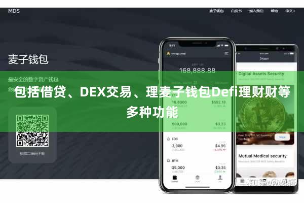 包括借贷、DEX交易、理麦子钱包Defi理财财等多种功能