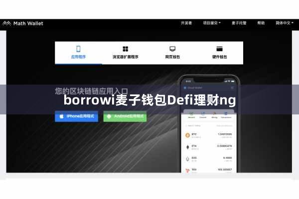 borrowi麦子钱包Defi理财ng