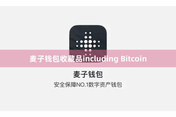 麦子钱包收藏品including Bitcoin