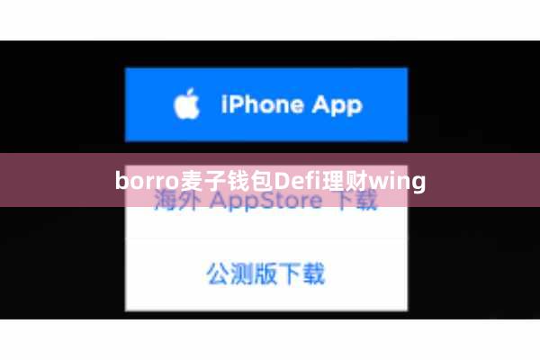 borro麦子钱包Defi理财wing