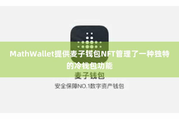 MathWallet提供麦子钱包NFT管理了一种独特的冷钱包功能