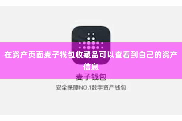 在资产页面麦子钱包收藏品可以查看到自己的资产信息