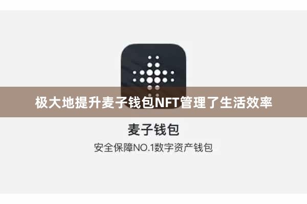 极大地提升麦子钱包NFT管理了生活效率