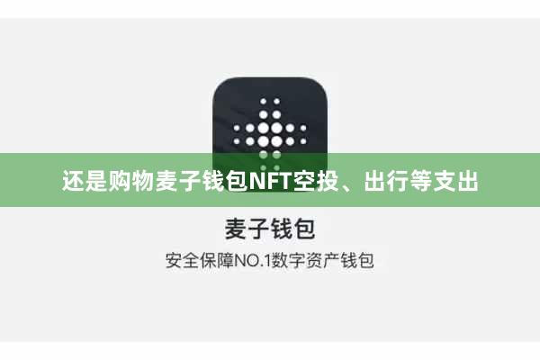 还是购物麦子钱包NFT空投、出行等支出