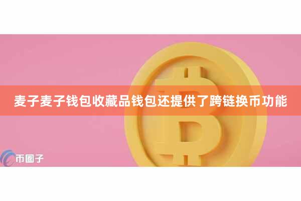 麦子麦子钱包收藏品钱包还提供了跨链换币功能