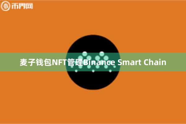 麦子钱包NFT管理Binance Smart Chain