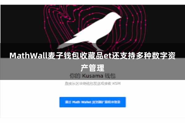 MathWall麦子钱包收藏品et还支持多种数字资产管理
