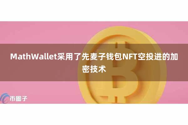 MathWallet采用了先麦子钱包NFT空投进的加密技术