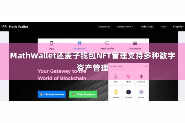 MathWallet还麦子钱包NFT管理支持多种数字资产管理